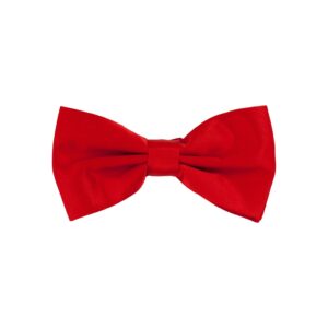 A red bow tie is shown.