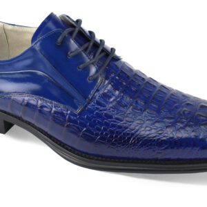 Giovanni Mason Shoes