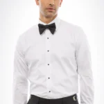 White Fitted Shirts