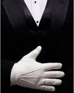 Formal Gloves