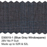 Blue Gray Windowpane D30015-1 Dray Scott Suit