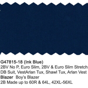 Ink Blue G47815-18 Giorgio Fiorelli Suit