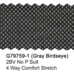 Gray Birdseye G79759-1 Giorgio Fiorelli Stretch Suit