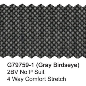 Gray Birdseye G79759-1 Giorgio Fiorelli Stretch Suit