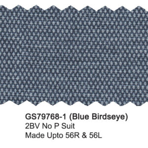Blue Birdseye GS79768-1 Giorgio Fiorelli Stretch Suit