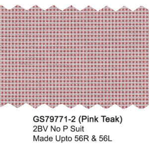Pink Teak GS79771-2 Giorgio Fiorelli Stretch Comfort Suit