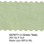 Green Teak GS79771-4 Giorgio Fiorelli Stretch Comfort Suit