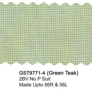 Green Teak GS79771-4 Giorgio Fiorelli Stretch Comfort Suit
