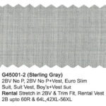 Sterling Gray G45001-2 Giorgio Fiorelli Suit