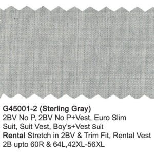 Sterling Gray G45001-2 Giorgio Fiorelli Suit