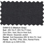 Medium Gray G49412-2 Giorgio Fiorelli Suit