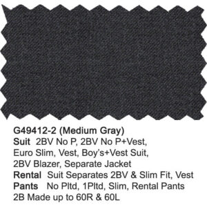 Medium Gray G49412-2 Giorgio Fiorelli Suit